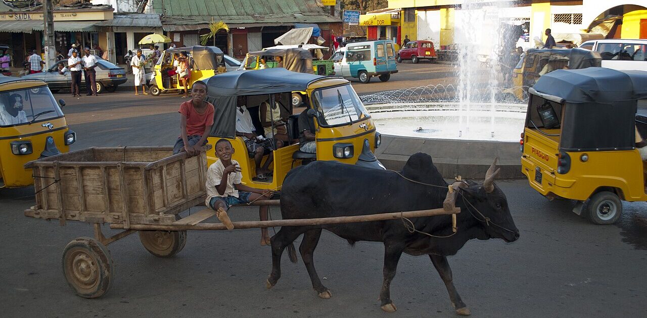 charrette à boeuf dans les rues d'Hell ville à Nosy Be, Madagascar